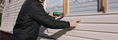 Best Storm Damage Siding Repair  in Wacousta, MI